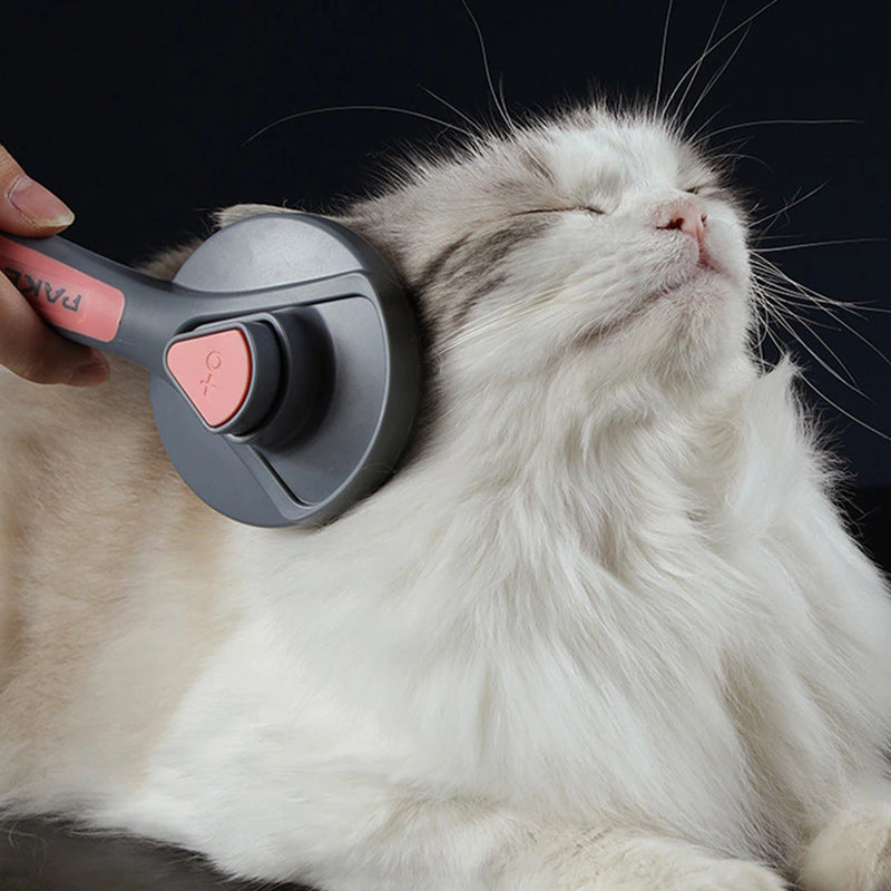 Escova Autolimpante e Massageadora - Pakeway - AMERYK